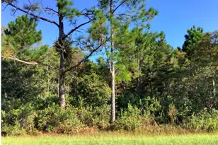 Ralston St, Orlando, FL 32833 - Photo 1