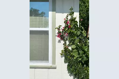 2433 Lydia Way, New Smyrna Beach, FL 32168 - Photo 55