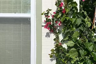 2433 Lydia Way, New Smyrna Beach, FL 32168 - Photo 55