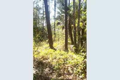 000 Dean Still Road, Davenport, FL 33897 - Photo 5