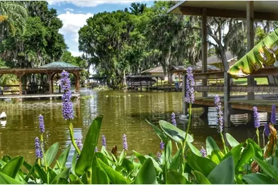 225 Temple Circle, Eustis, FL 32726 - Photo 47