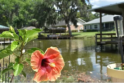 225 Temple Circle, Eustis, FL 32726 - Photo 45