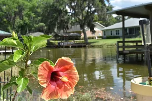 225 Temple Cir, Eustis, FL 32726 - Photo 45