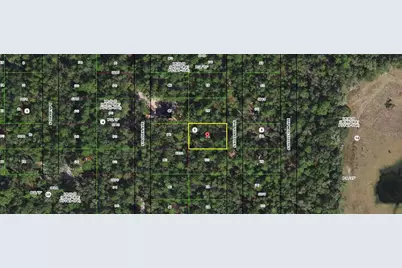 3862 S Killdeer Avenue, Inverness, FL 34450 - Photo 1