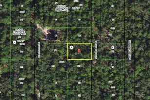 3862 S Killdeer Ave, Inverness, FL 34450 - Photo 1