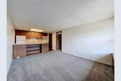 611 Mount Homer Road, Eustis, FL 32726 - Photo 1