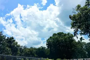 2700 Junction Rd, Zellwood, FL 32798 - Photo 7