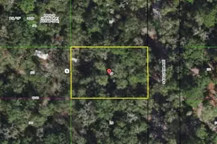 3966 S Killdeer Ave, Inverness, FL 34450 - Photo 1