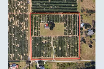 17902 Seidner Road, Winter Garden, FL 34787 - Photo 3