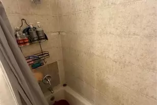 7104 Blue Earth Ct, Orlando, FL 32818 - Photo 23