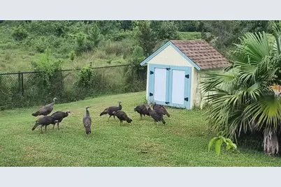 5564 Jack Brack Road, Saint Cloud, FL 34771 - Photo 61