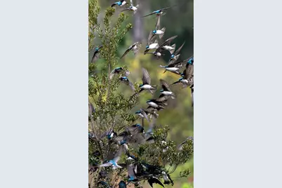 5564 Jack Brack Road, Saint Cloud, FL 34771 - Photo 59