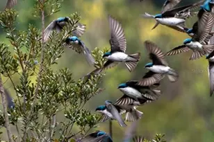 5564 Jack Brack Rd, Saint Cloud, FL 34771 - Photo 59