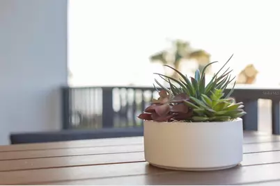 701 S Atlantic Avenue #UT21, New Smyrna Beach, FL 32169 - Photo 63