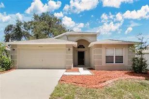 4706 Dragon Tail Ct, Valrico, FL 33594 - Photo 1