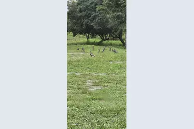 40140 Swift Road, Eustis, FL 32736 - Photo 41