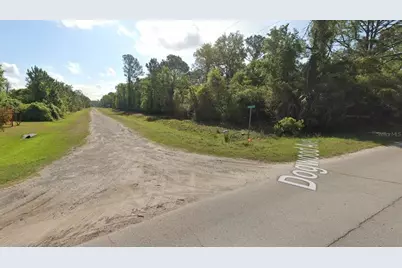 423 Dogwood Avenue, Georgetown, FL 32139 - Photo 3