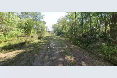 423 Dogwood Avenue, Georgetown, FL 32139 - Photo 5