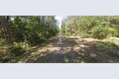 423 Dogwood Avenue, Georgetown, FL 32139 - Photo 3