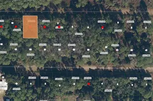 423 Dogwood Ave, Georgetown, FL 32139 - Photo 1