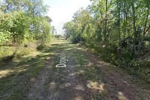 423 Dogwood Ave, Georgetown, FL 32139 - Photo 1