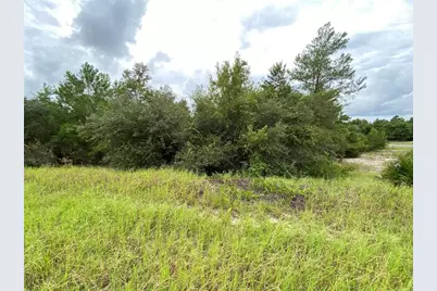 1362 Homosassa Drive, Kissimmee, FL 34759 - Photo 1