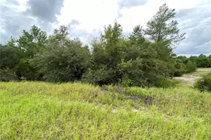 1362 Homosassa Dr, Kissimmee, FL 34759 - Photo 1