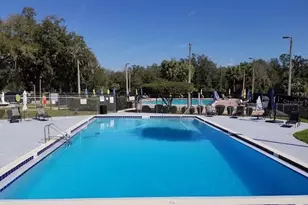 543 Silver Course, Ocala, FL 34472 - Photo 47