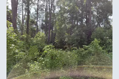 James Street, Astor, FL 32102 - Photo 3