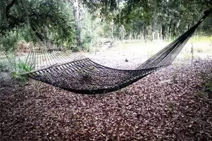 118 Mill Creek Dr, Melrose, FL 32666 - Photo 43