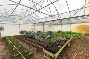 2026 Lewis Rd, Leesburg, FL 34748 - Photo 85