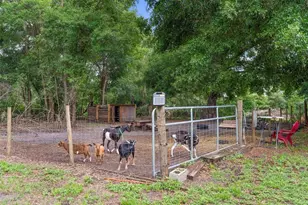 2026 Lewis Rd, Leesburg, FL 34748 - Photo 87