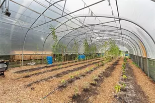 2026 Lewis Rd, Leesburg, FL 34748 - Photo 81