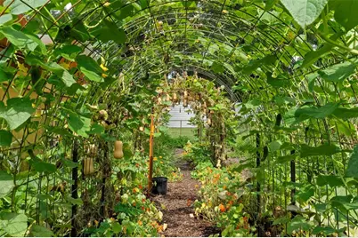 2026 Lewis Road, Leesburg, FL 34748 - Photo 77