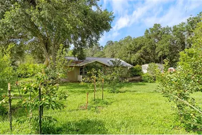 2026 Lewis Road, Leesburg, FL 34748 - Photo 69