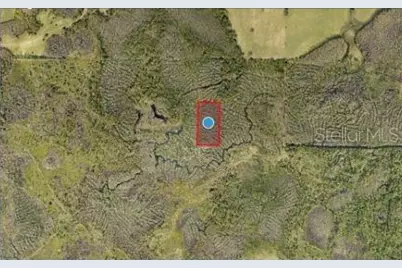 Calvin Lee Road, Groveland, FL 34736 - Photo 5