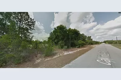 Calvin Lee Road, Groveland, FL 34736 - Photo 9