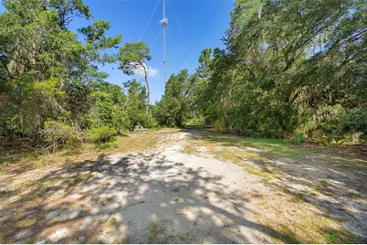 1835 S Glencoe Road, New Smyrna Beach, FL 32168 - Photo 15