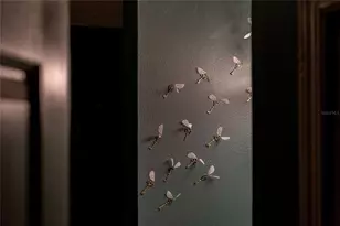 2041 Lacie Jo Ln, Kissimmee, FL 34743 - Photo 33