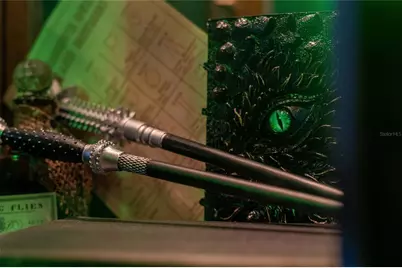 2041 Lacie Jo Lane, Kissimmee, FL 34743 - Photo 39