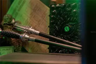 2041 Lacie Jo Ln, Kissimmee, FL 34743 - Photo 39