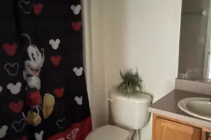 4529 Alberto Cir, Kissimmee, FL 34746 - Photo 17