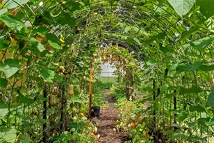 2016 Lewis Rd, Leesburg, FL 34748 - Photo 77