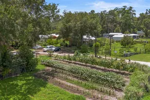 2016 Lewis Rd, Leesburg, FL 34748 - Photo 5