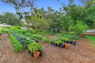 2016 Lewis Rd, Leesburg, FL 34748 - Photo 75