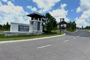 2759 Purple Mdw Ct, Minneola, FL 34715 - Photo 37