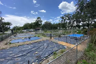 164 Royal Palm Dr, Leesburg, FL 34748 - Photo 81