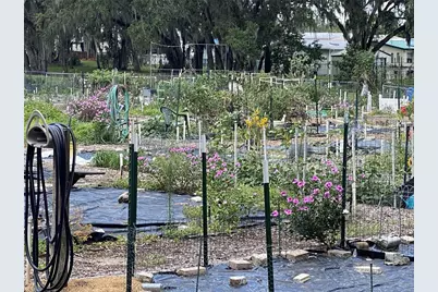 164 Royal Palm Drive, Leesburg, FL 34748 - Photo 81