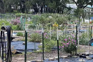 164 Royal Palm Dr, Leesburg, FL 34748 - Photo 81