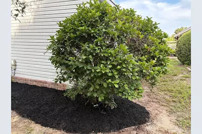 164 Royal Palm Drive, Leesburg, FL 34748 - Photo 37